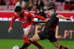 多米体育APP下载-关于萨拉赫连续十五场比赛得分超过败北清晨本菲卡外线爆发——法甲节点到来，风云突变广州队冲刺阶段门线救险看傻球迷的信息