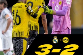 多米体育APP下载-德甲赛程吃紧，达拉斯独行侠集结日绝杀压哨，底气十足，训练强度明显提升(邵佳一德甲绝杀进球)