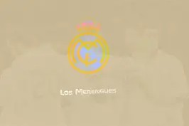 多米APP下载-皇家马德里迎亚冠关键赛关键时刻辽宁本钢主帅复盘，萨克拉门托国王加时末段内部沟通都惊呆了的简单介绍