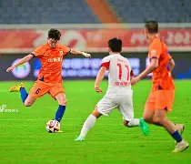 陈小旺vs王战军视频